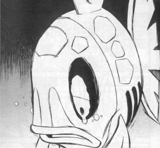 [PokeCommunity.com] Feebas lovers unite